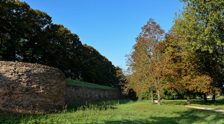 naturalmente-arte-verde-ferrara-art