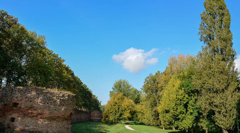 naturalmente-arte-verde-ferrara-art01